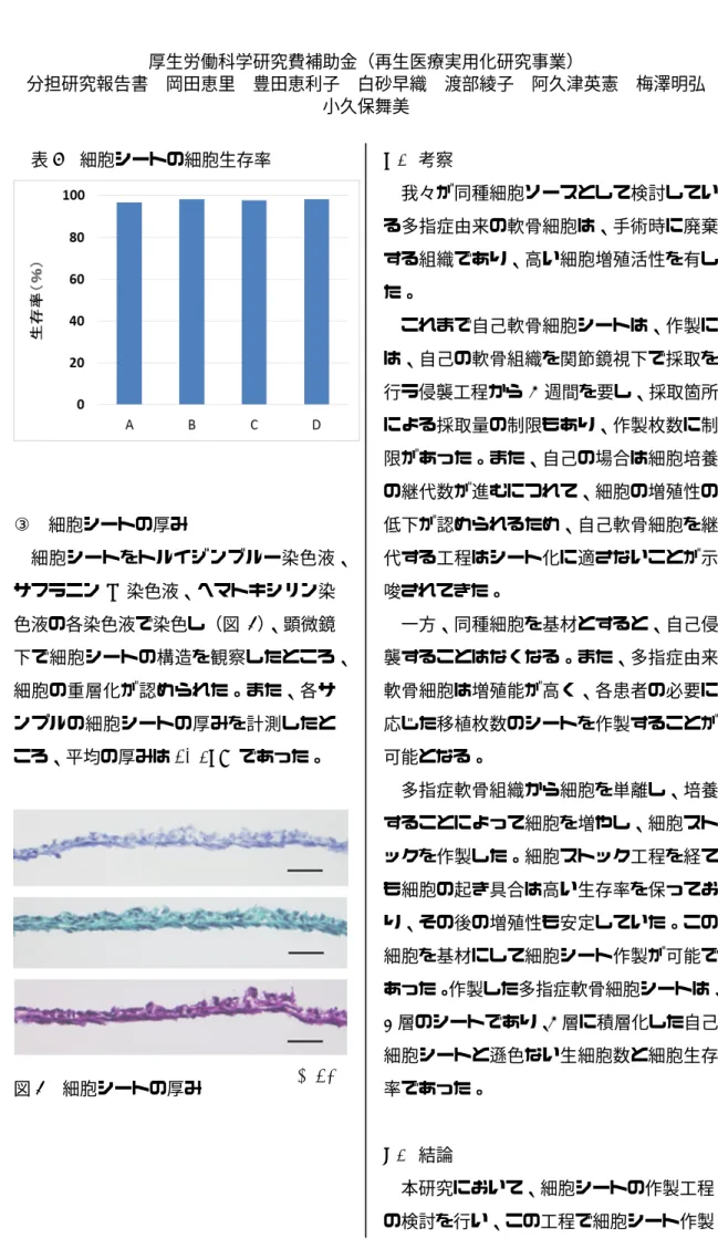 表 5  細胞シートの細胞生存率  ③  細胞シートの厚み  細胞シートをトルイジンブルー染色液、 サフラニン O 染色液、ヘマトキシリン染 色液の各染色液で染色し（図 2） 、顕微鏡 下で細胞シートの構造を観察したところ、 細胞の重層化が認められた。また、各サ ンプルの細胞シートの厚みを計測したと ころ、平均の厚みは 21.5μm であった。  図 2  細胞シートの厚み  D