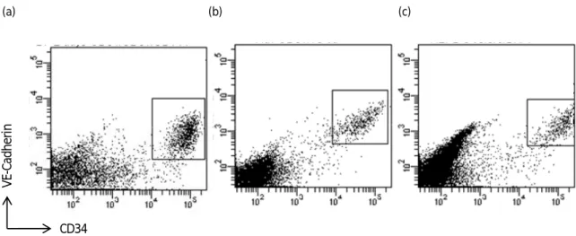 Figure 1 異なるヒト iPS 細胞株から血管内皮細胞への分化誘導効率の違い