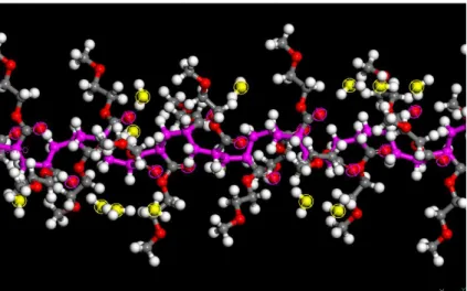 図 4 MEA の 50 量体のエステル結合カルボニル酸素原子に 50 個の水分子を吸着 