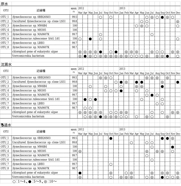 表 1  クローニングにより検出された OTU の近縁種とその推移(○、●、◎はクローン数を示す) 