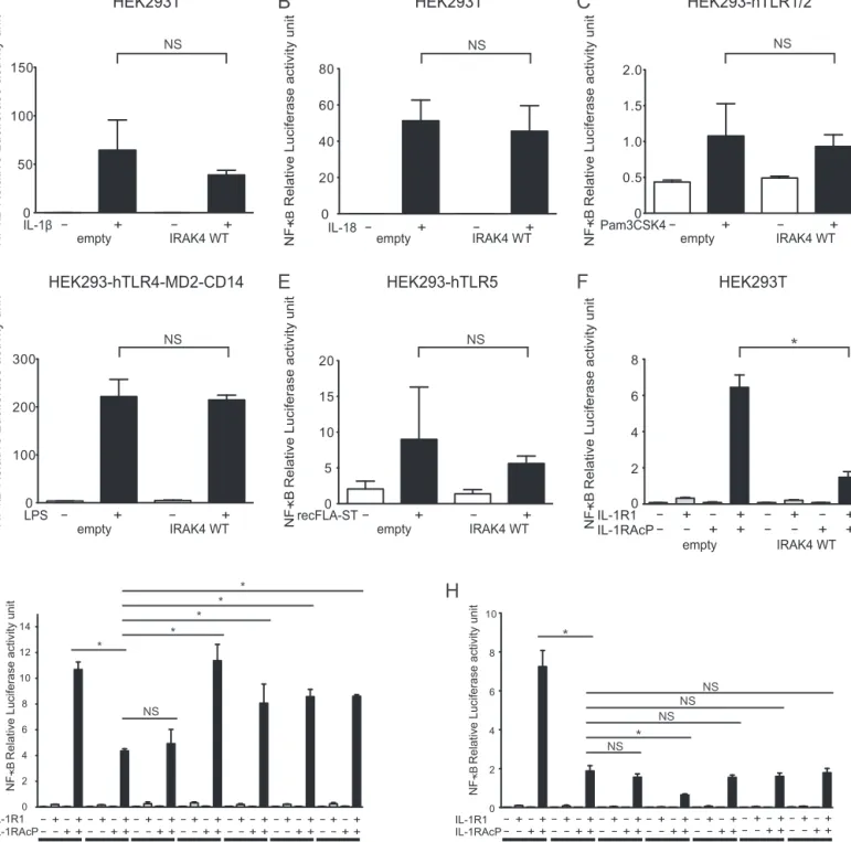 Fig. 2. Cell-based NF-␬B activity assays of IRAK4 variants. (A-F) The inhibition of NF-␬B activation in ﬁve different cell lines by IRAK4