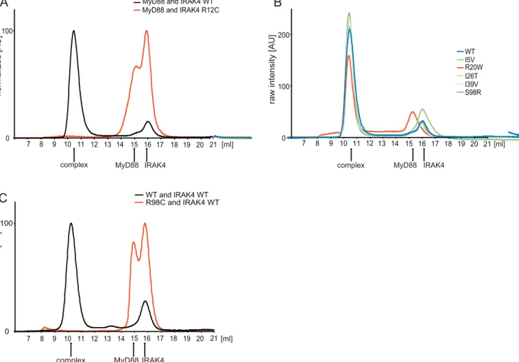 Fig. 4. Analytical gel ﬁltration of IRAK4 and MyD88. (A) IRAK4-R12C failed to interact with MyD88