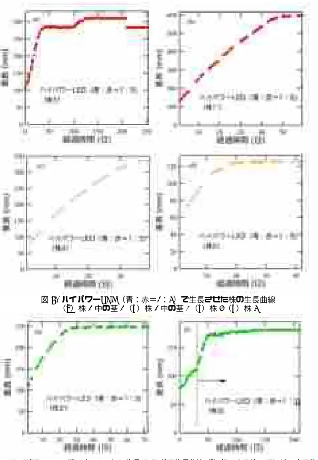 図 6.  ハイパワーLED（青：赤＝1：5）で生長させた株の生長曲線 