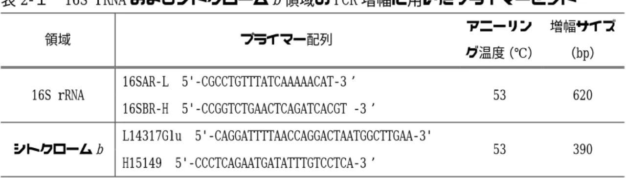 表 2-１  16S rRNA およびシトクローム b 領域の PCR 増幅に用いたプライマーセット  領域  プライマー配列  アニーリン グ温度（℃）  増幅サイズ（bp）  16S rRNA  16SAR‑L  5'‑CGCCTGTTTATCAAAAACAT‑3   53  620  16SBR‑H  5'‑CCGGTCTGAACTCAGATCACGT ‑3   シトクローム b  L14317Glu  5'‑CAGGATTTTAACCAGGACTAATGGCTTGAA‑3'  53  390  H1