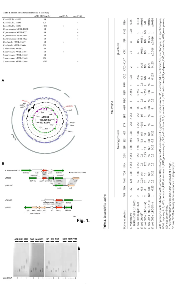 Table 1. Profiles of bacterial strains used in this study 
