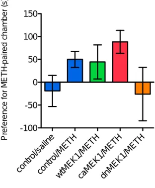 Fig.  4  Methamphetamine-induced  conditioned  place  preference  in  AAV-wtMEK1,  caMEK1  and  dnMEK1-transfected mDrd1-Cre mice