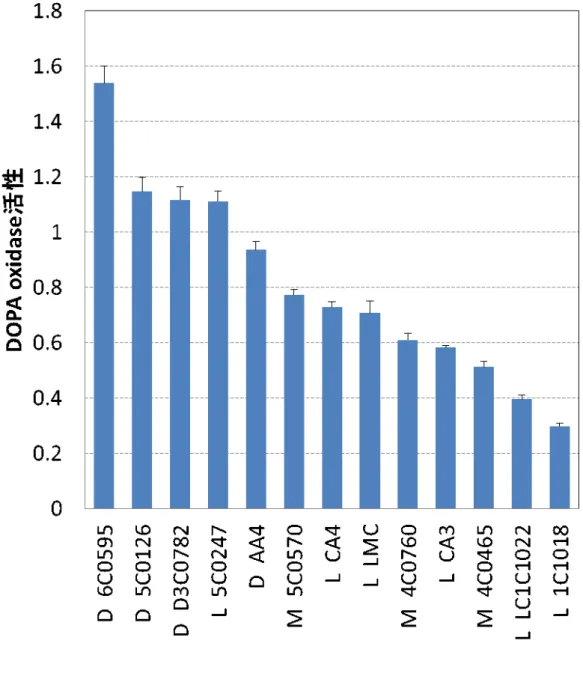 図  1  使用した 13 ラインのメラノサイトにおける DOPA oxidase 活性  