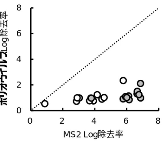 表 4  デジタル PCR 法によるクリプトスポリジウム由来核酸の定量結果 