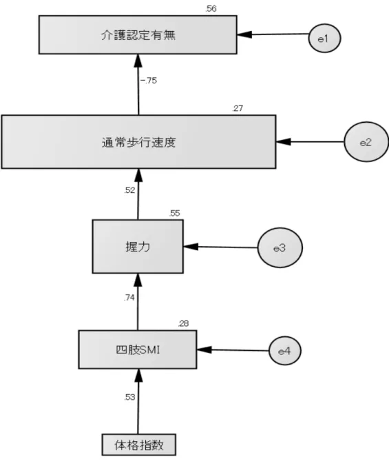 図 8  体格指数、四肢 SMI、握力、通常歩行速度の直線的な因果モデル 