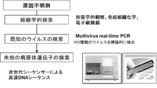 図 1  本研究における原因不明症例の病原微生物の検出の概要 