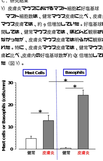 図 1  健常マウス及び皮膚炎マウス皮膚でのマスト細胞並び に好塩基球数  2）皮膚炎マウスの自発的掻き動作に対する好塩基球 除去抗体 Ba103 の効果    皮膚炎マウスへの好塩基球除去抗体の投与により、 投与後 2 日目より自発的掻き動作が減少していた。 除去抗体投与後 4 日目に皮膚免疫染色を行い、好塩 基球数を数えたところ、コントロール抗体投与マウ スに比べ除去抗体投与マウスで有意に減少していた。3）健常マウスにおけるmMCP-11皮内注射による掻き動作 健常マウス吻側背部へのmMCP-11の皮内
