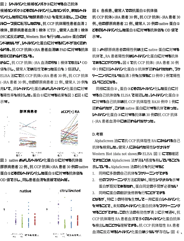 図 2  シトルリン化候補タンパク③に対する自己抗体  候補タンパク③とそのシトルリン化したタンパク、またシトル リン化した際に用いた酵素の PAD を電気泳動し、ニトロセ ルロース膜に転写したのち、抗 CCP 抗体陽性患者血清 2 検体、膠原病患者血清 1 検体（CTD）、健常人血清 1 検体 (HC)と反応させ、Western Blot を行った。native 蛋白のバ ンドはないが、シトルリン化蛋白に対するバンドが強く認め られる。抗 CCP 抗体(+)RA 患者血清は PAD に対する抗体 も弱く認
