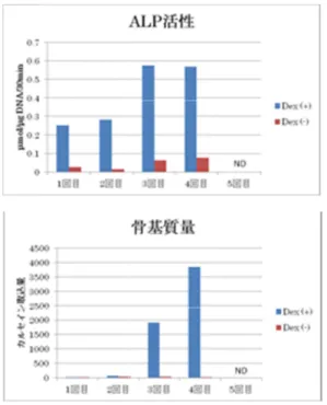 図 9.  図 10 D.  考察   この研究において、 胞の移植により、長期にわたり. 症例1の骨形成10. 症例2の骨形成比較考察 の研究において、胞の移植により、長期にわたり骨形成比較の骨形成比較 の研究において、ドナー間葉系幹細胞の移植により、長期にわたりの骨形成比較ドナー間葉系幹細胞の移植により、長期にわたり骨端にお 84 ドナー間葉系幹細骨端にお ける できた。あった。質骨の症例 これまで見られなかった大腿骨が十分結果にみられるように、細胞の移植はをもたらし、今後とＥ．結論CT細胞の骨構築が改