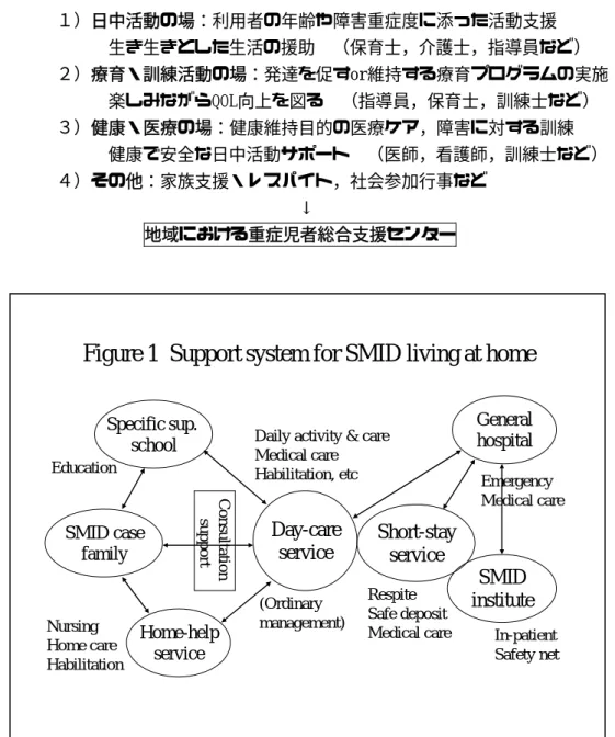 Figure 1  Support system for SMID living at home