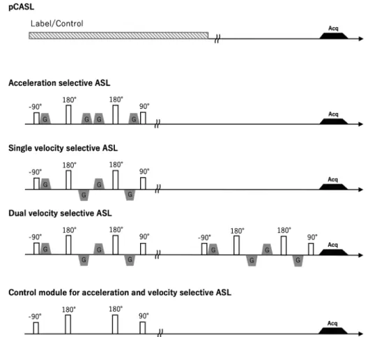 Fig. 10. Pulse sequence diagrams for pCASL, single-velocity selective, dual-velocity selective, and acceleration selective ASL