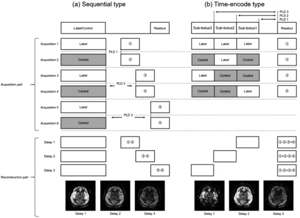 Fig. 5. Schematic diagrams of multi-delay ASL with three PLDs. (a) Sequential type and (b) time-encode type