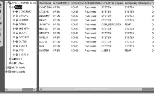 図 4-9  Oracle Security Manager