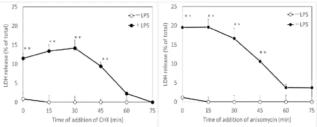 Fig. 3.    Influence of the delay of the time of protein synthesis inhibitors addition to LPS treated  JA-4 cells