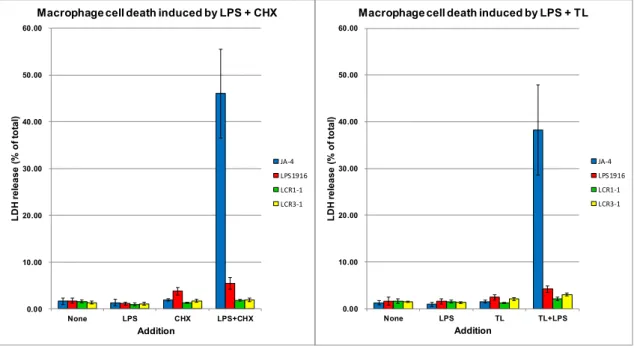 Fig. 14. Influence of CHX or triptolide(TL) on LPS-treated JA-4 cells, LPS1916 and LCR  mutants   