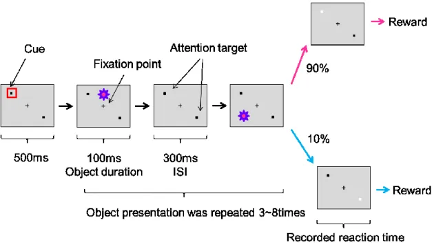 Figure 2. Attention task の手続き図