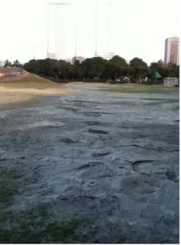 図  2.1-25   幕張海浜公園の液状化の様子（ 3 月 18 日撮影）   また、国際災害チャータの枠組みを通じて提供された、米国の WorldView-2 が 3 月 17 日 10 時 57 分（日本時間）に観測された幕張本郷駅～幕張駅の海岸付近の高分解能光学観測画 像から、液状化した地域を判読した結果を図 2.1-26 に示す。          図 2.1-26  幕張本郷駅～幕張駅周辺の液状化の様子  （左）観測全体画像  （右）一部拡大画像 2.1.3.8  火災    図 2.1-27 