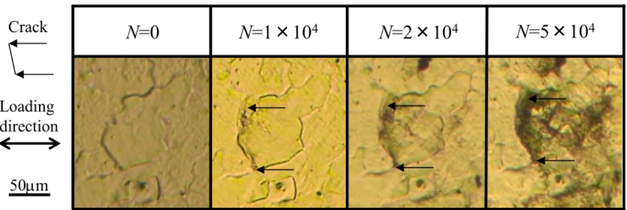 Fig.  2-9  Optical  micrograph  of  specimen  surface  before  and  after  crack  initiation  (Base’/Fine, 