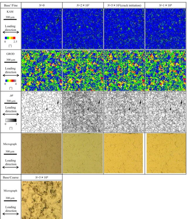 Fig. 2-15 Misorientation changes during cyclic loading (Base’/Fine). 0     2.5KAM Loading direction300m[°]0       4GRODLoading direction300m[°]0     3Loading direction300m[°]Loading directionMicrograph300mLoading directionMicrograph300m