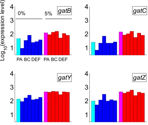 Fig. 3.7.    “galactitol metabolic process”に含まれる gat 遺伝子