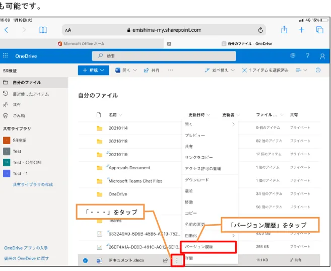 図 2-11 バージョン履歴の表示 