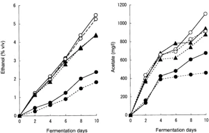 Fig.  5  Changes  in  ethanol  and  acetate  concentrations  during  a  static  liquid  culture  of  YPH  499  (solid  line) and  its  ACH1  disruptant  (broken  line)  with  or  without  an  overexpression  of  ACS1  and  ACS2