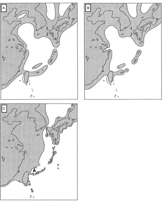 図 6. Ota (1998)、太田  (2002, 2005)  による琉球列島を中心とした古地理  太田  (2005)  を改変.  陸地は灰色で示されている.  図中 A–C の時代区分は以 下の通りである; A
