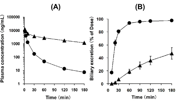 Fig. 1-2  Plasma  concentration–time  profile  (A)  and  cumulative  biliary  excretion  (B)  of  TA-0201CA