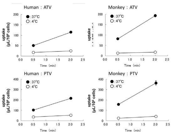 Fig. II-2  OATP substrates  uptake  by isolated hepatocytes from  human  (left)  and  monkey  (right)