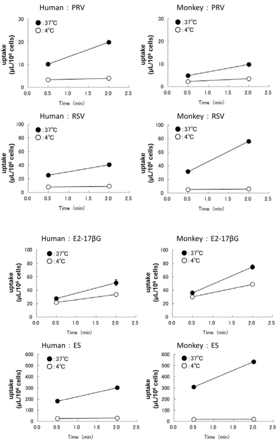 Fig. II-3   OATP substrates  uptake  by isolated hepatocytes from  human  (left)  and  monkey (right)