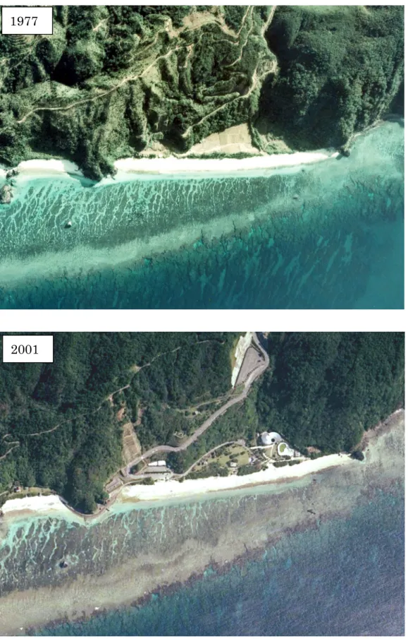 図 4-5  「10 奄美大島  大浜」における 1977 年と 2001 年の比較；砂浜の後背の植生が道路 や建物に変わっている。砂浜は侵食していないが、光の影響などが懸念される。 