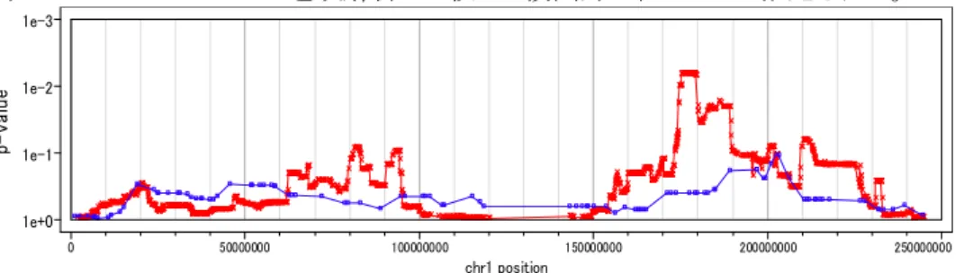 図 26  Informative SNP とマイクロサテライトマーカーでの連鎖解析結果の比較  Red: 500kSNP,Blue:マイクロサテライトマーカー  高密度の SNP マーカーを用いることで、マイクロサテライトマーカーでは検出できない微小 の連鎖領域を検出できる。 1e+01e-11e-21e-3p-value050000000 100000000 150000000 200000000 250000000chr1 position