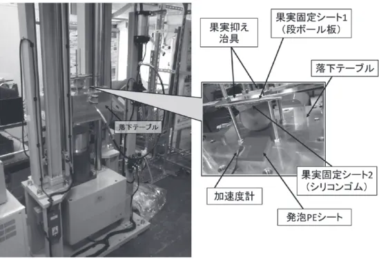 図 １ ．衝撃試験機による果実への衝撃印加