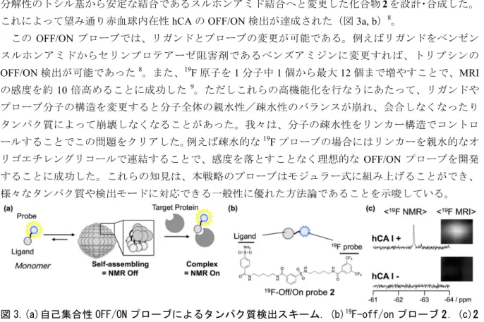 図 3.(a)自己集合性 OFF/ON プローブによるタンパク質検出スキーム.  (b) 19 F-off/on プローブ 2.  (c)2 による hCA の Off/On スイッチングの 19 F-NMR と MRI 画像