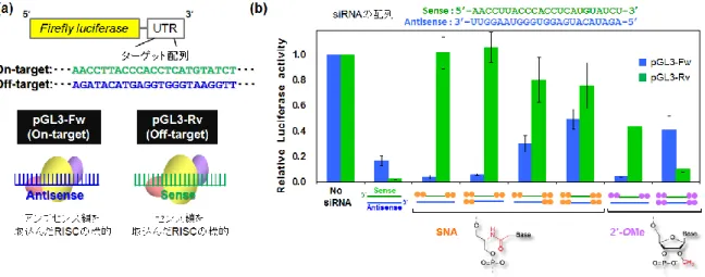 図 2  AGO2 は RNA の 5’末端を認識するポケットを有してい る。(PDB accession code:4F3T)[5] 