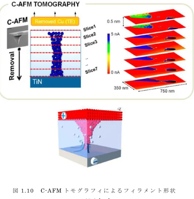図 1.10  C-AFM ト モ グ ラ フ ィ に よ る フ ィ ラ メ ン ト 形 状 の 観 察 [54] 