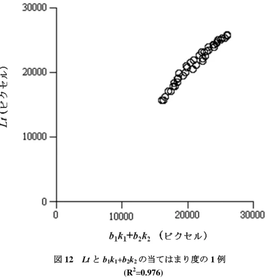 図 12  Lt と b 1 k 1 +b 2 k 2 の当てはまり度の 1 例          (R 2 =0.976) 