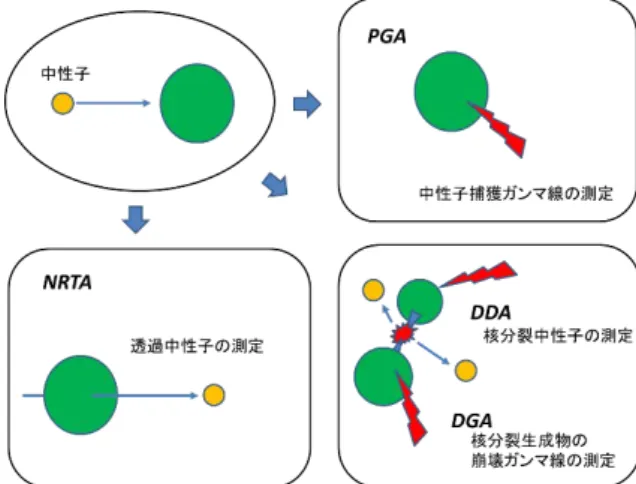 図 1 中性子で誘起される核反応を測定して、試料の核物質などを分析する。