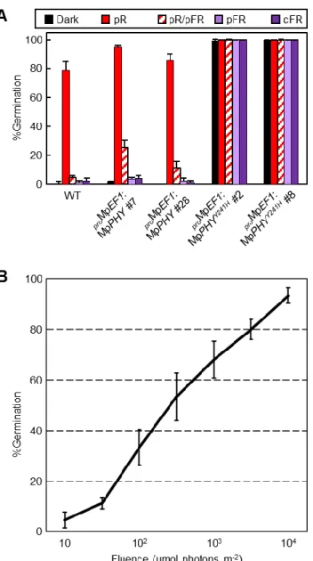 図 11  無性芽の発芽の光質依存性と光量依存性 