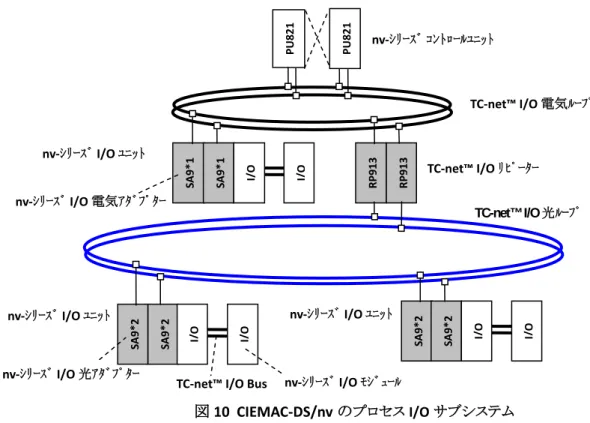 図  10  CIEMAC-DS/nv のプロセス I/O サブシステム