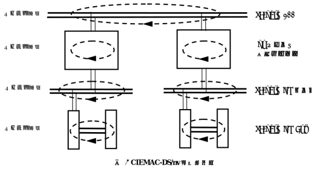 図  3  CIEMAC-DS/nv の時間要素