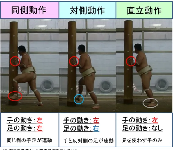 図 1：各試技の特徴説明 