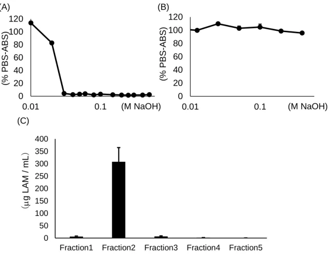 Fig.  1-8  Characterization  of  supBGRP  as  a  capture  molecule  for  the  BG  ligand  of  affinity  chromatography