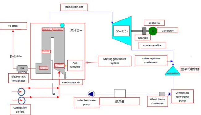 図 4-4. 発電所システム系統図 (2) バイオマス燃料調達の基本的なスキーム 本事業における大きな特徴は、間伐材や建設廃材などを燃料利用せず、一般的な農業には適 さない土地において、先述のグリシディア（マメ科早生植物）を管理栽培することで、市場の 動向に極力左右されない形で安定的にバイオマス燃料を調達できるスキームを構築すること にある。グリシディアは、1 年に約 1 回のペースで収穫と栽培を繰り返すことができる短周期 成長植物（SRC）であり、伸びた部分の枝のみを収穫することにより、1 年後には再び同
