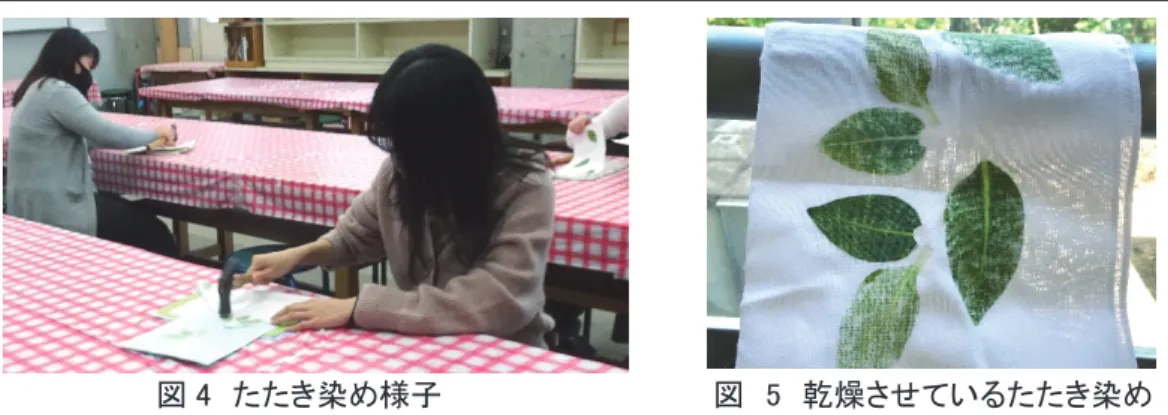 図 4  たたき染め様子                          図  5  乾燥させているたたき染め  ②たたき染めの体験（図 4 ・図 5 ） 体験当日，学生は自分が育てた新鮮なタデアイの葉を収穫した．机の上に新聞紙，紙を敷 きその上に白いハンカチ置き，葉っぱの配置やデザインを考えた．デザインを決めた後，布 を折り返して葉っぱを挟み込み，緩衝材として新聞紙を敷いて金槌でたたいた．途中布をひ っくり返したり，色の出方を確認したりしながら制作した．たたき終わった後，しばらく放 置し水洗いをして葉っ