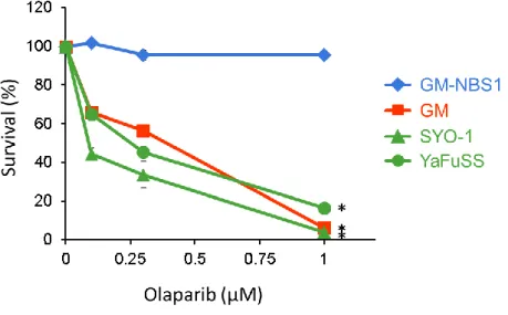 Figure 7. PARP  阻害剤 Olaparib は滑膜肉腫細胞株の増殖抑制効果を示す。 